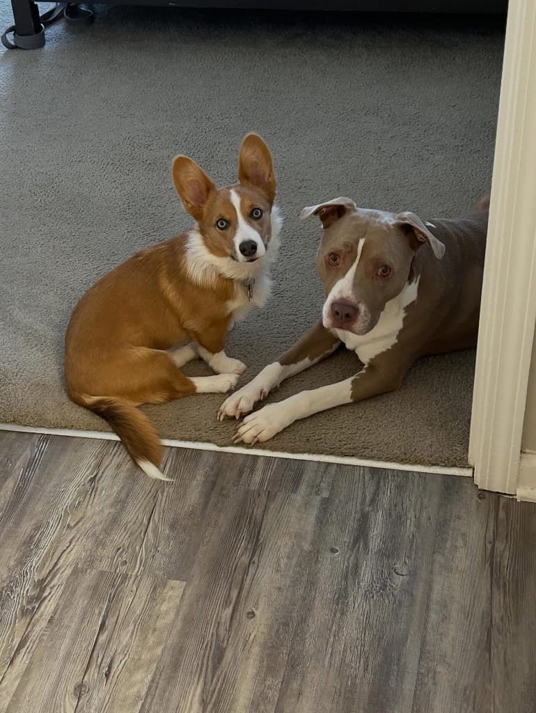Stevie and Kash sitting together on the floor